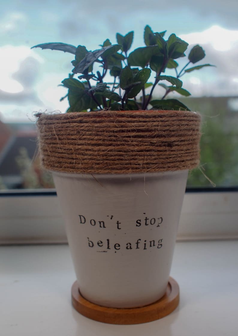 This Twine wrapped terracotta painted plant pot is such a simple craft. Don't Stop Beleafing.