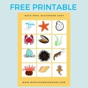 Rock Pool Scavenger Hunt Printable