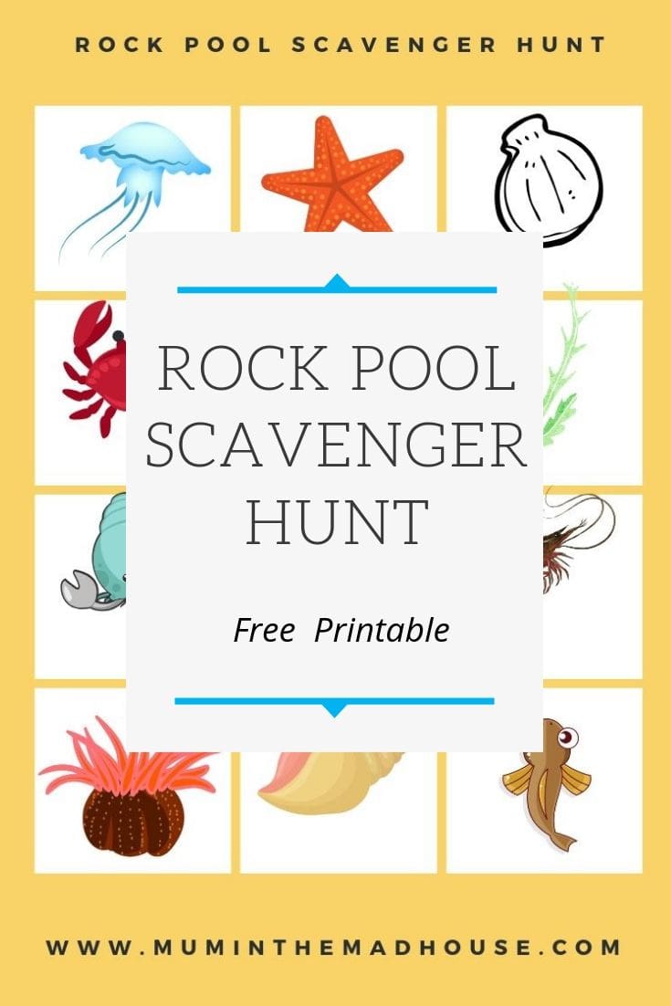 Rock Pool Scavenger Hunt or Rock Pool Eye Spy - Free Printable. Have loads of fun on the beach by seeing what you can find in the tidal rock pools.