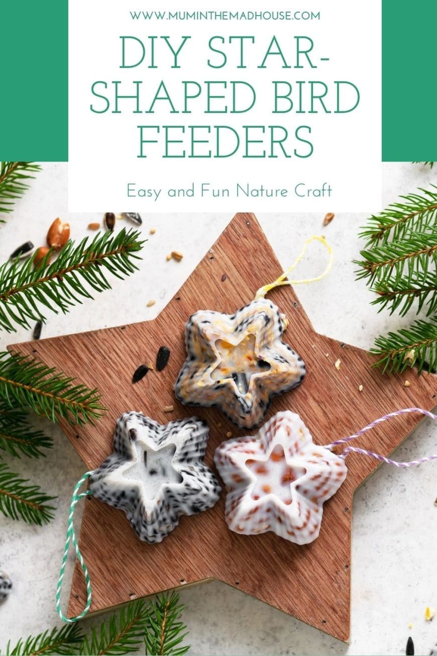These DIY bird Feeders are so fun and simple to make! Using star molds, birdseed, and coconut oil, your kids will love helping feed the birds this season.