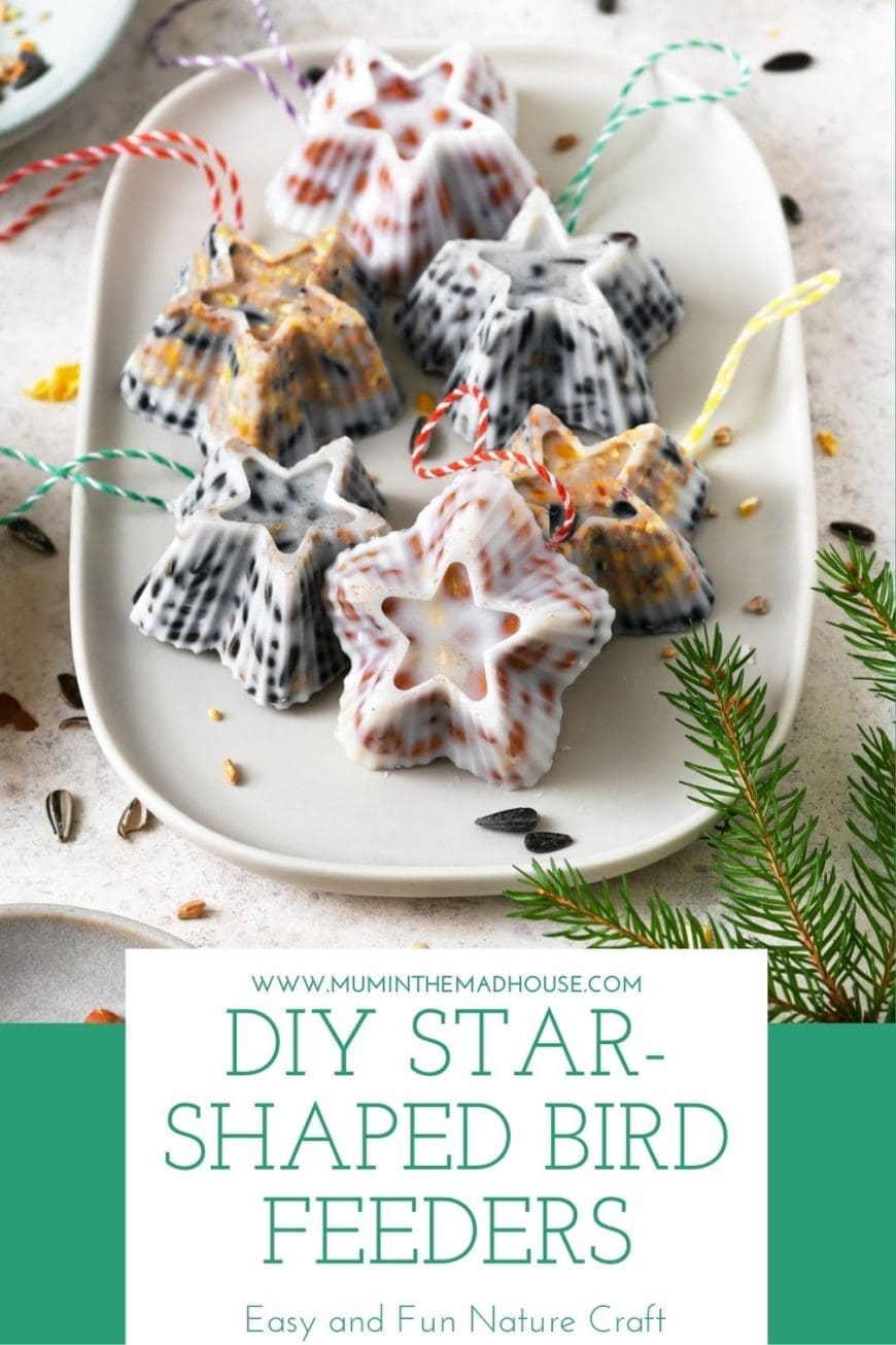 Teach kids about nature with this easy bird feeder craft! These star-shaped feeders are made with birdseed, lard, and twine, creating a fun DIY project for all ages.