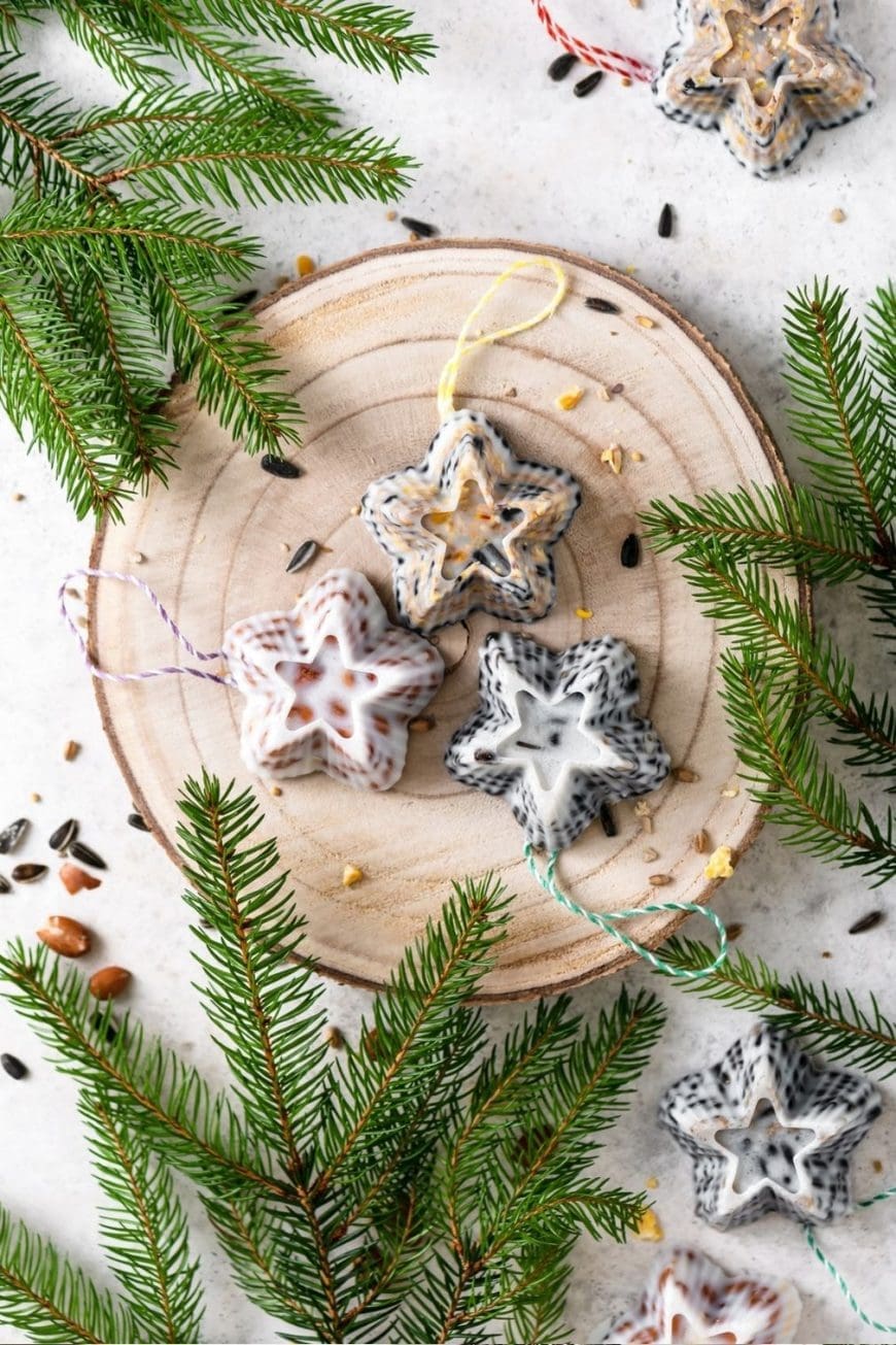 Looking for a fun nature craft? Learn how to make star-shaped bird feeders with seeds, lard, and twine. Safe and easy for little hands!