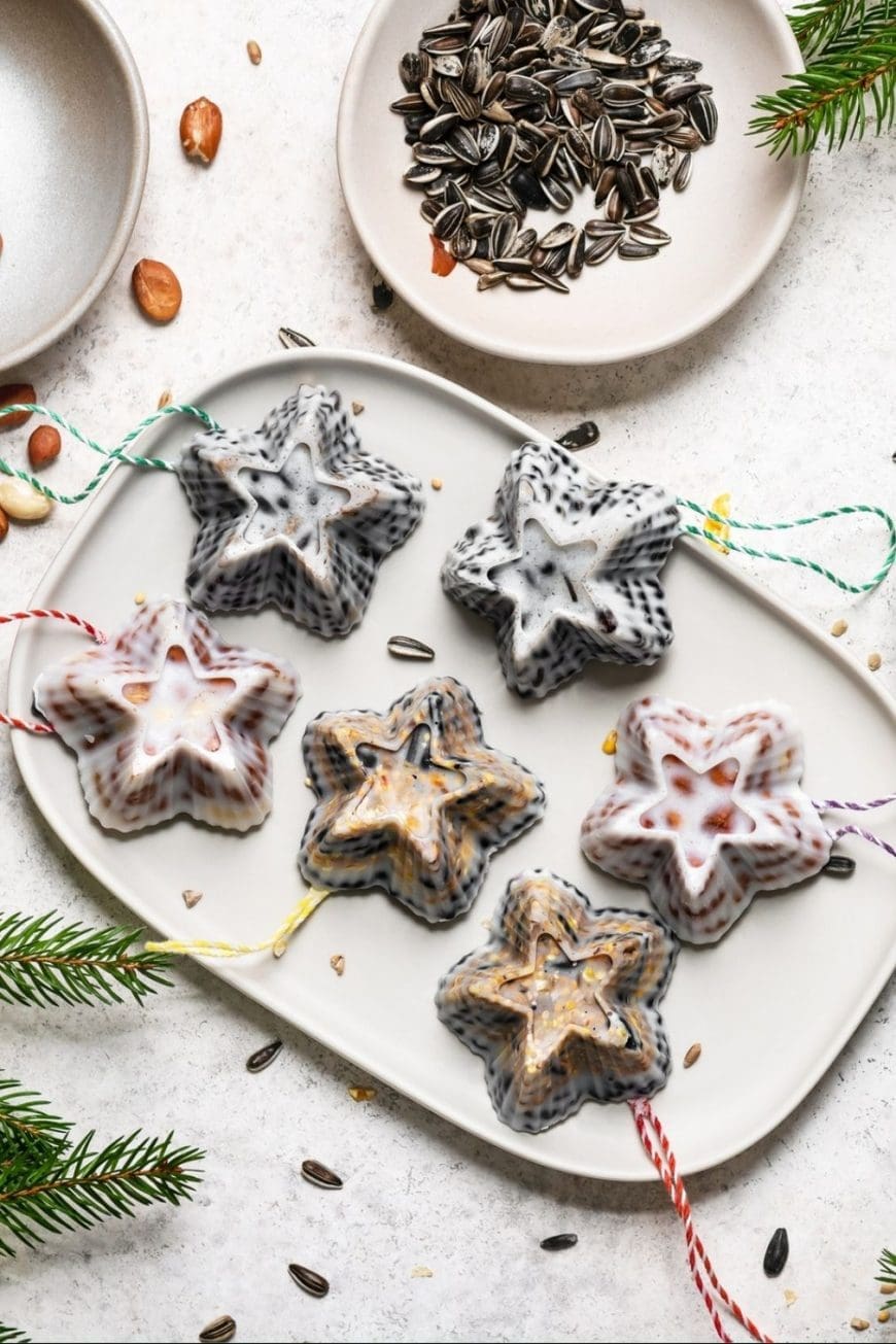 Make adorable star-shaped bird feeders with your kids! This easy DIY craft uses birdseed, lard or coconut oil, and silicone molds. Perfect for nature lovers!